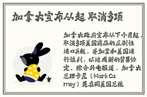 老师你的好软水好多的